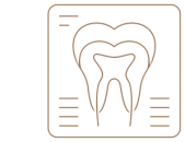 Examination & X-rays